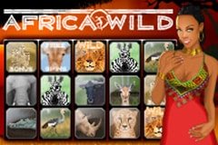 Обзор слота Kitty Living