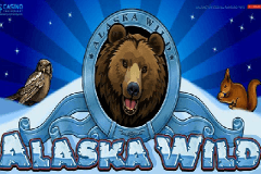 Обзор игровых автоматов Pina Nevada