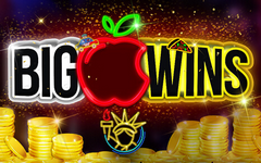 Поп-котята слоты