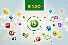 Агата Кристи в Mystery Wilds Слоты