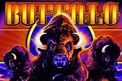 Слот Puggy Payout