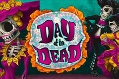 Игровые автоматы Wild Huskies