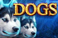 Captain Jackpots Cash Ahoy Игровой автомат