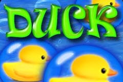 Стеклянные слоты тапочки