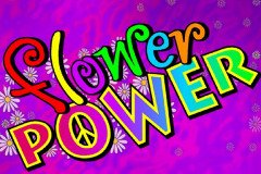 Слоты электрические ночи