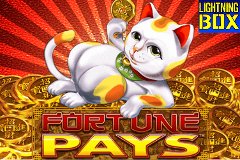 Wild Wild Spin Слоты