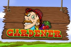 Съесть все слоты