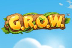 Слот Шуй Го Кай Фу