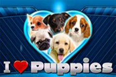 Обзор игрового автомата Gems n Jewels Обзор игрового автомата Gems n Jewels