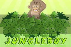 Райан О'Брайан и слоты кельтских фей