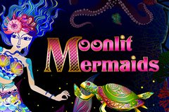 Купидон Бинго