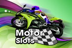 Фишмания Бинго