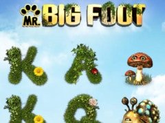 Король бинго