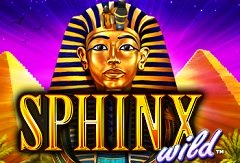 Игровой автомат Wong Po