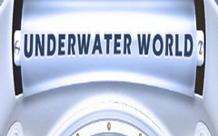 KungFu Каш Слот