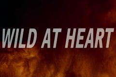 Монополия на игровой автомат