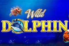 Сегун Земельные Слоты