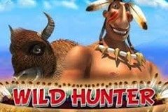 Вонг Чой Слот